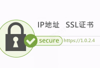 IP地址免费申请SSL证书，有效期90天，可多次签发！